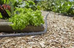 Gardena 18431-20 Jeu De Tuyaux Textiles 15m Promo -Jardin Outils Magasin 18431 20 jeu de tuyaux textiles 15m promo 2 scaled