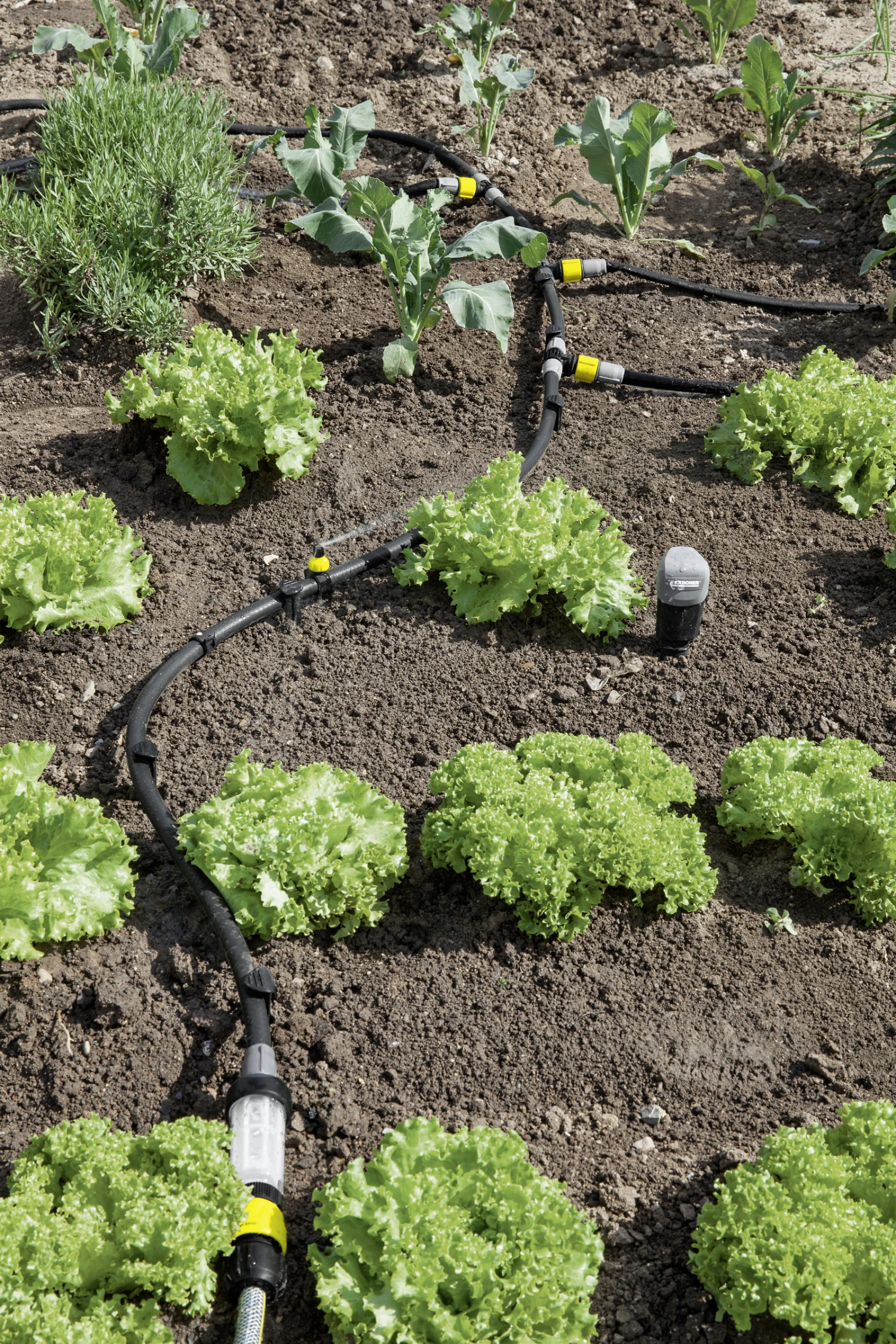 Kärcher 2.645-226.0 Régulateur De Pression Avec Filtre 2 Kärcher 2.645-226.0 Régulateur De Pression Avec Filtre – Image 2