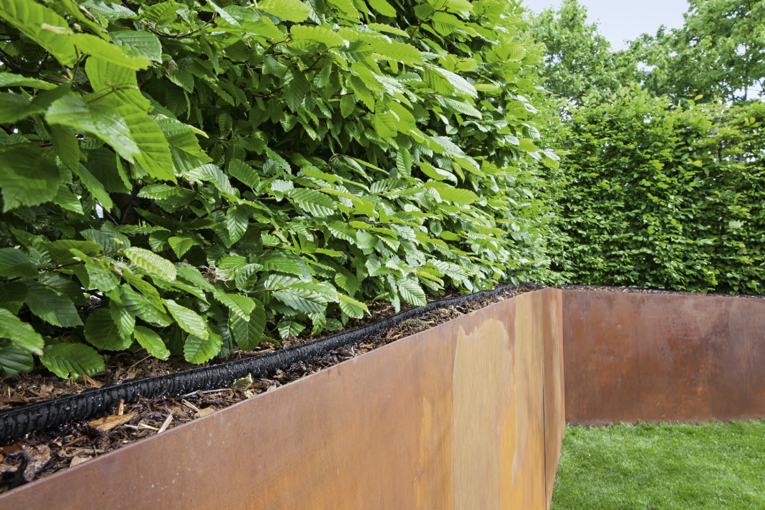 Kärcher 2.645-228.0 Tuyau D'égouttage 1/2" 25 Mtr. Système De Pluie 2 Kärcher 2.645-228.0 Tuyau D'égouttage 1/2" 25 Mtr. Système De Pluie – Image 2