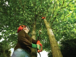 Black & Decker PS7525-QS Tronçonneuse Sur Manche Télescopique 800 Watt 25 Cm 11 Black & Decker PS7525-QS Tronçonneuse Sur Manche Télescopique 800 Watt 25 Cm -Jardin Outils Magasin ps7525 qs tronconneuse sur manche telescopique 800 watt 25 cm 5