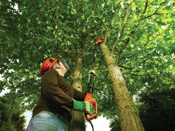 Black & Decker PS7525-QS Tronçonneuse Sur Manche Télescopique 800 Watt 25 Cm 6 Black & Decker PS7525-QS Tronçonneuse Sur Manche Télescopique 800 Watt 25 Cm – Image 6